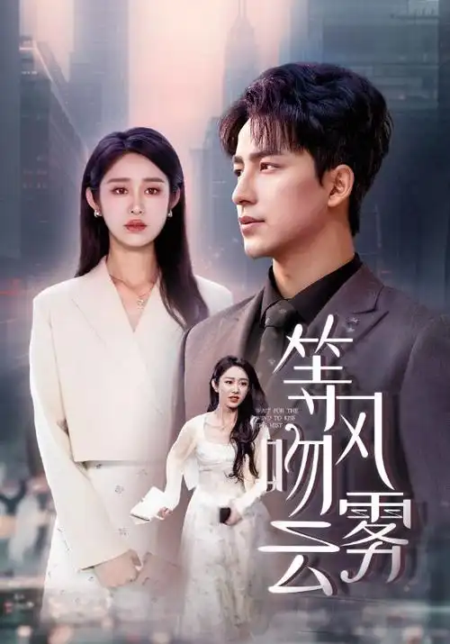 剧集《雪线之上》封面图